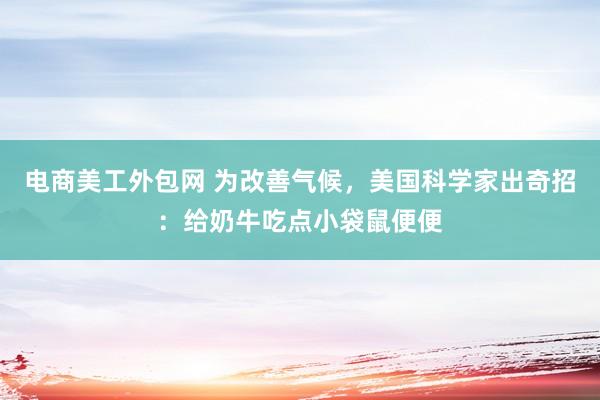 电商美工外包网 为改善气候，美国科学家出奇招：给奶牛吃点小袋鼠便便