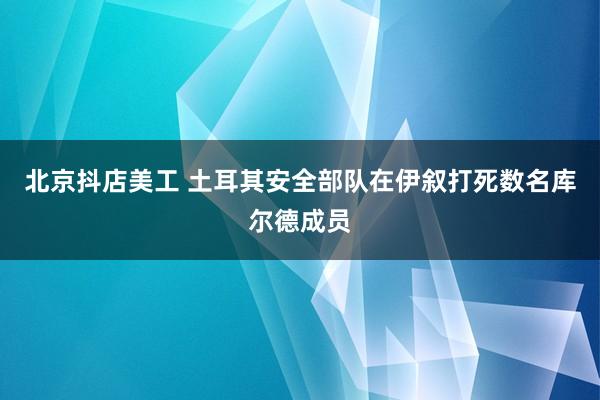 北京抖店美工 土耳其安全部队在伊叙打死数名库尔德成员