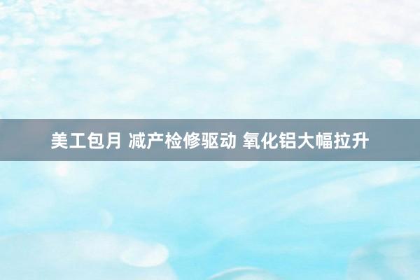 美工包月 减产检修驱动 氧化铝大幅拉升