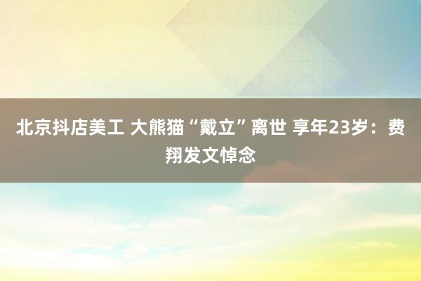 北京抖店美工 大熊猫“戴立”离世 享年23岁：费翔发文悼念