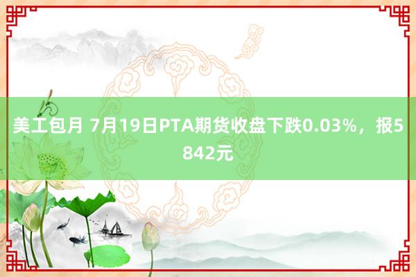 美工包月 7月19日PTA期货收盘下跌0.03%，报5842元