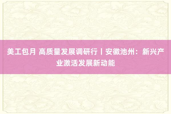 美工包月 高质量发展调研行丨安徽池州：新兴产业激活发展新动能